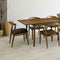 Amish Laramie Modern Century Modern Dining Chair