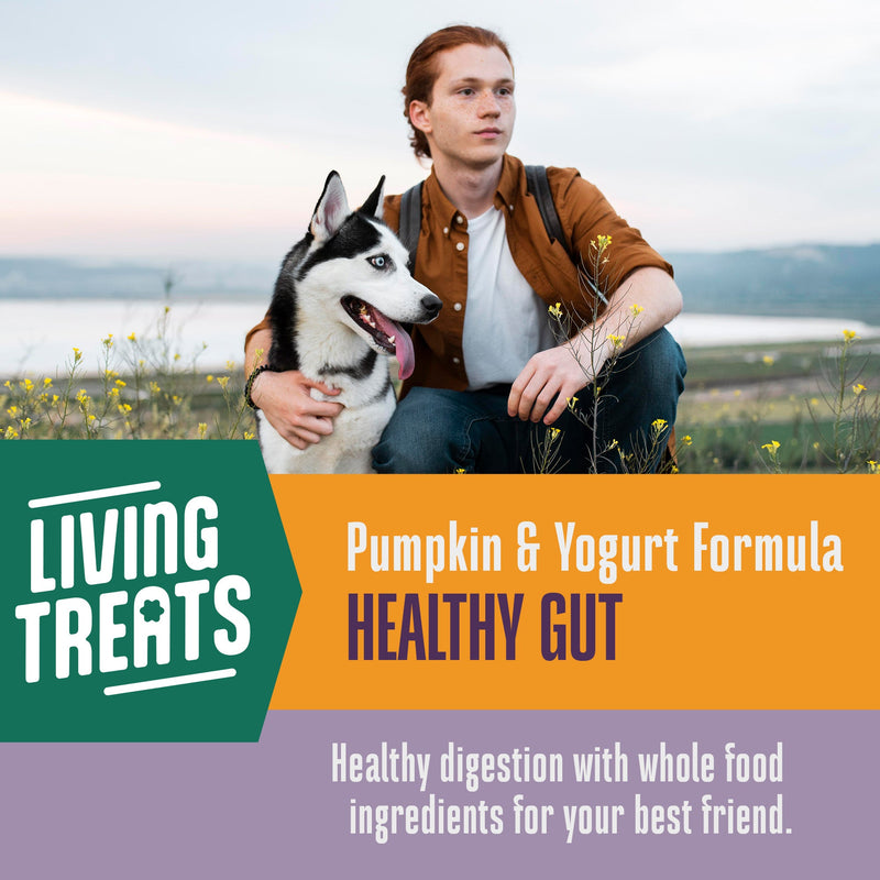 Living Treats – Pumpkin and Yogurt Recipe Probiotic Treats For Dogs.  Human Grade and Grain Free - Made In Our Own Kitchen