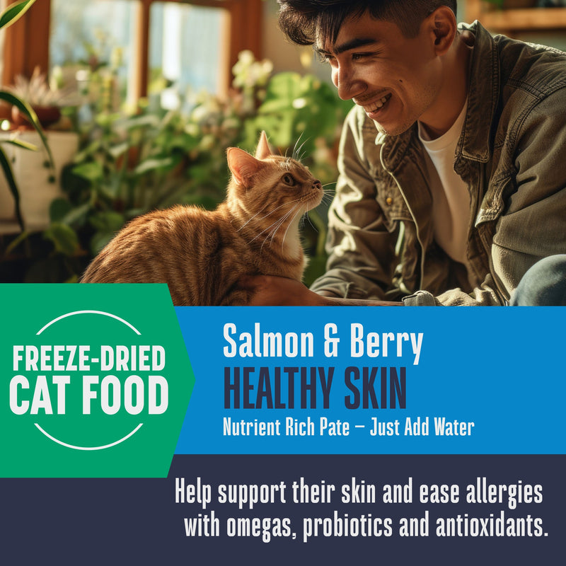 Hydrating Snack and Meal Complement For Cats – Healthy Skin Pâté