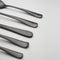 Rhiannon Black Satin 20 Piece Flatware Set