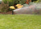 Voyager® Screw Top Gear-Drive Rotor Sprinklers