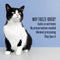 Just One Chicken Cat Treats – Human Grade, Picky Eater Approved, Made in Our Own Kitchens