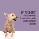 Nature’s Remedy Whole Body Health Support.  Human-Grade, Grain-Free, Whole Food Supplement for Dogs - Made in Our Own Kitchens