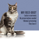 Hydrating Snack and Meal Complement For Cats – Healthy Gut Pâté