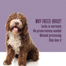 Nature’s Remedy Chicken & Rice for Dogs.  Human-Grade Interim Diet for Stomach Upset - Made in Our Own Kitchens