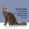 Hydrating Snack and Meal Complement For Cats – Shredded Salmon with Tuna Chunks in Gravy