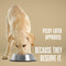 Tuscan Blend Whole Food Meal Mixers For Dogs:  Human Grade - Made in Our Own Kitchens