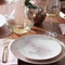 Trianna Salaria 4-Piece Place Setting