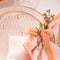 Trianna Blush 4-Piece Place Setting