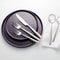 Modulus Nightshade 12-Piece Dinnerware Set