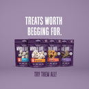 Just One Ingredient Beef Liver Treats For Dogs.  Human Grade and Grain Free - Made In Our Own Kitchen