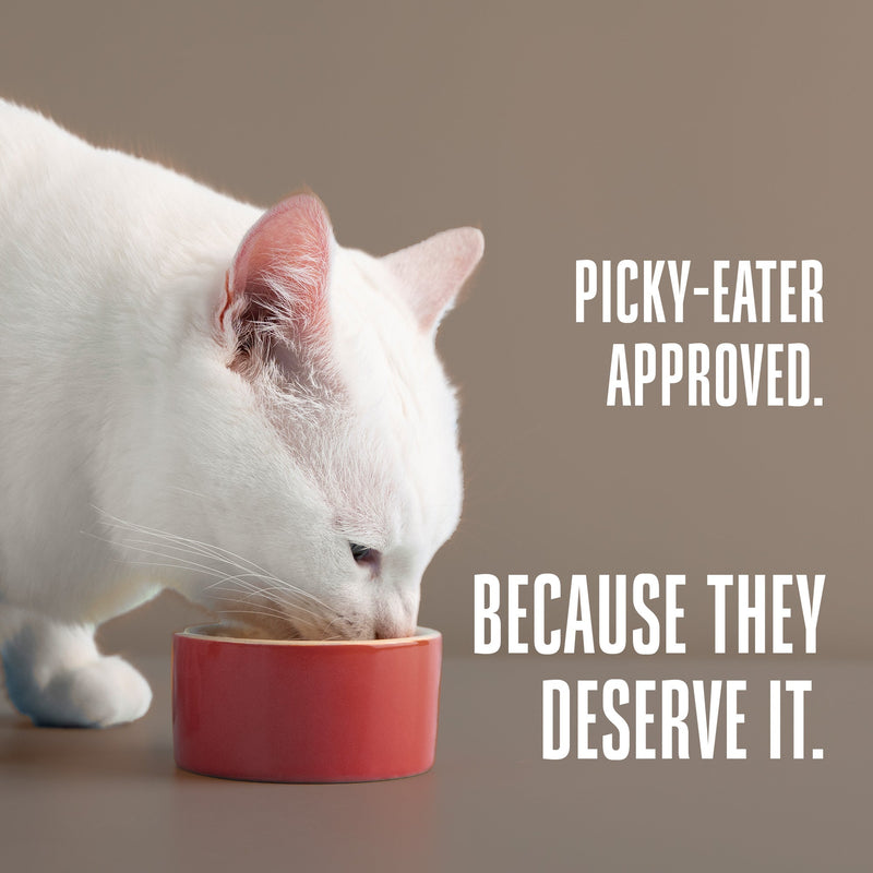 Hydrating Snack and Meal Complement For Cats – Shredded Salmon with Tuna Chunks in Gravy