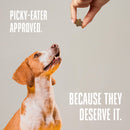 Living Treats – Peanut Butter and Yogurt Recipe Probiotic Treats For Dogs.  Human Grade and Grain Free - Made In Our Own Kitchen