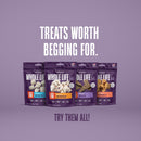 Just One Ingredient Variety Pack for Dogs:  Human Grade and Grain Free - Made In Our Own Kitchen. Save 10% + Free Shipping