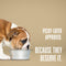 Nature’s Remedy Chicken & Rice for Dogs.  Human-Grade Interim Diet for Stomach Upset - Made in Our Own Kitchens