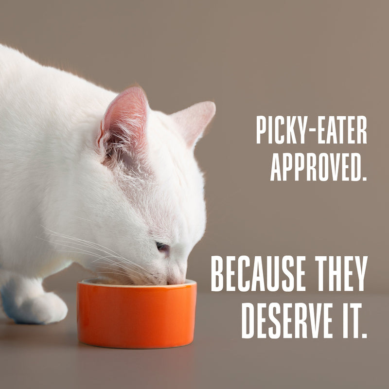 Hydrating Snack and Meal Complement For Cats – Shredded Chicken Chunks in Gravy
