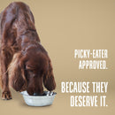 Nature’s Remedy Healthy Skin & Allergy Support.  Human-Grade, Grain-Free, Whole Food Supplement for Dogs - Made in Our Own Kitchens
