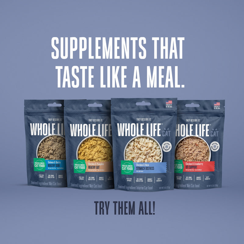 Hydrating Snack and Meal Complement For Cats – Healthy Skin Pâté