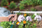 Adjustable-Spray Zinc Rear Trigger Watering Nozzle