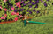 1/2-in. Brass Impact Sprinkler on Metal Step Spike