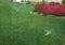 Port-A-Rain Hose Watering Sprinkler System with Fixed Nozzles