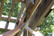 Professional 12 Ft. Brass Slip-Lok Mist Cooling System