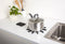 Fanfare Trivet, Set of Two