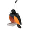 Amish Oriole Shaped poly bird feeder