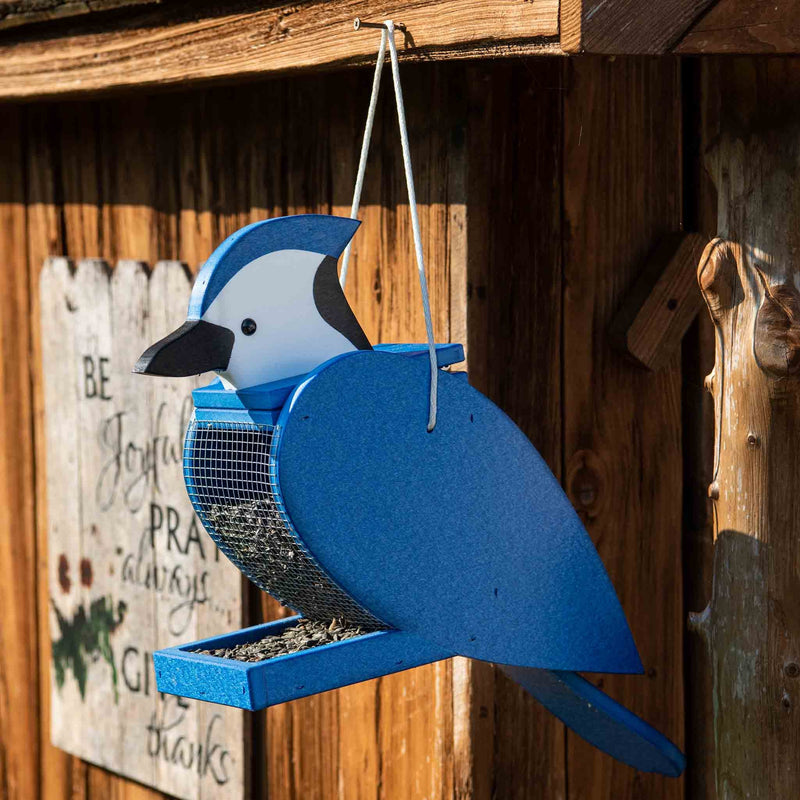 Amish Blue Jay Shaped poly bird feeder