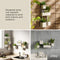 Cubiko Wall Planter