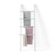 Leana Ladder