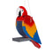 Amish Macaw Bird Shaped wood feeder