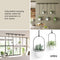 Triflora Hanging Planters, Set of 5