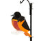 Amish Oriole Bird Shaped wood feeder