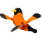 Amish Garden Wood Oriole Whirlybird