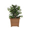 Amish Medium 22" Square Poly Planter