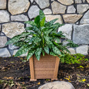 Amish Small 15" Square Poly Planter