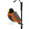 Amish Robin Bird Shaped wood feeder