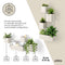 Cubiko Wall Planter