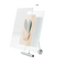 Flute Picture Frame